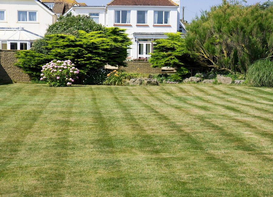 A large striped lawn freshly mown in front of a house